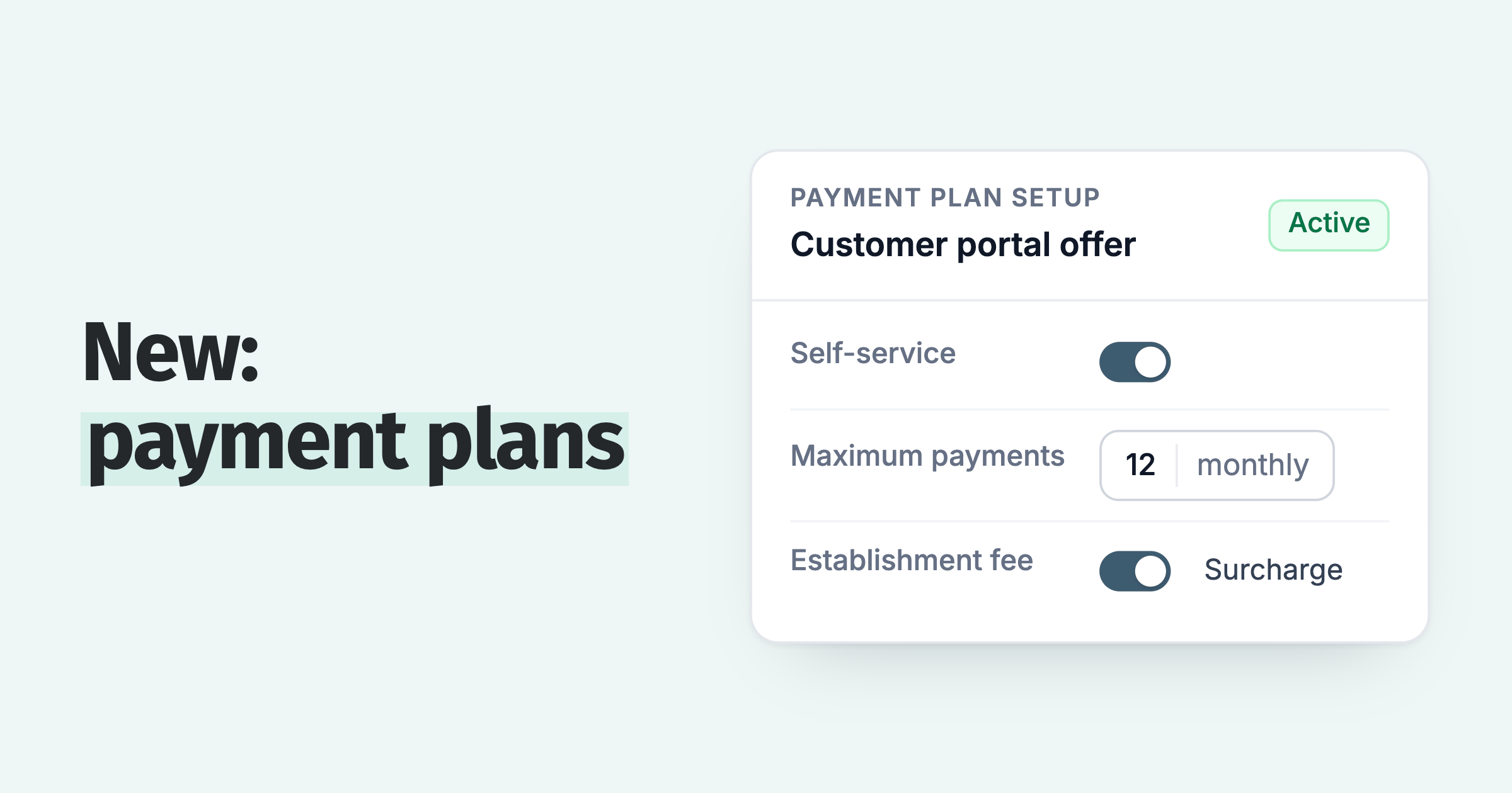 Payment plan setup: customers build their own plan in the portal, up to 12 monthly payments, with an optional surcharge