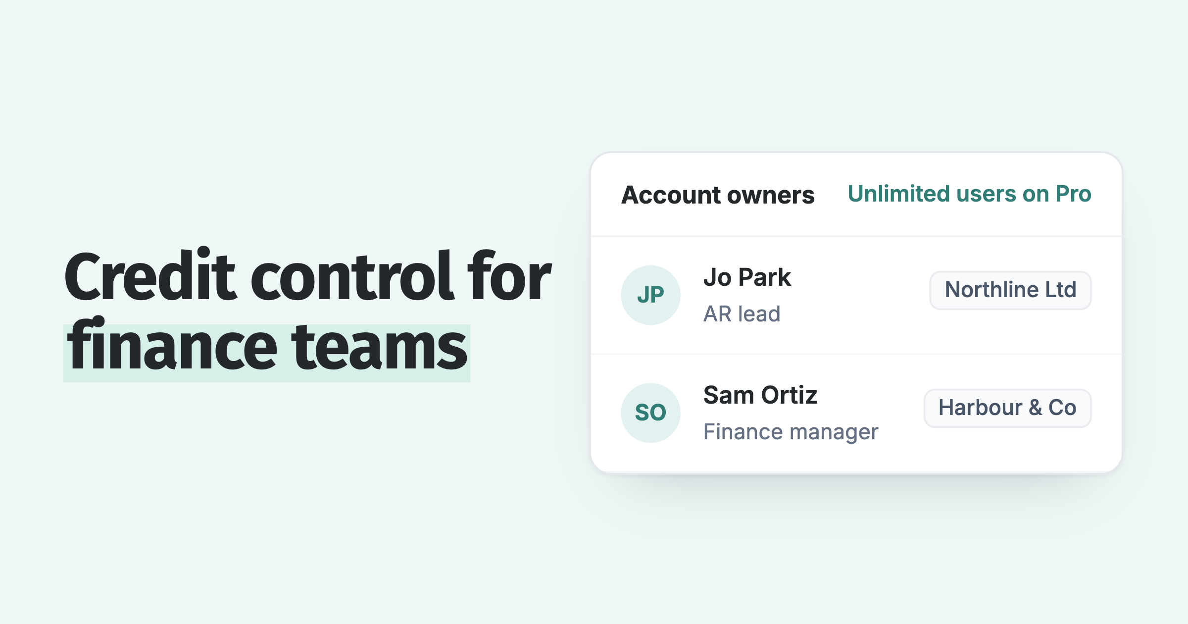 Paidnice account owners: each customer has one named owner on the finance team, with unlimited users on Pro