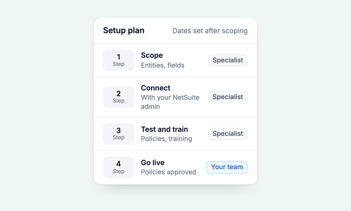 Four-step NetSuite setup plan: scope, connect, test and train, go live, with the owner of each step